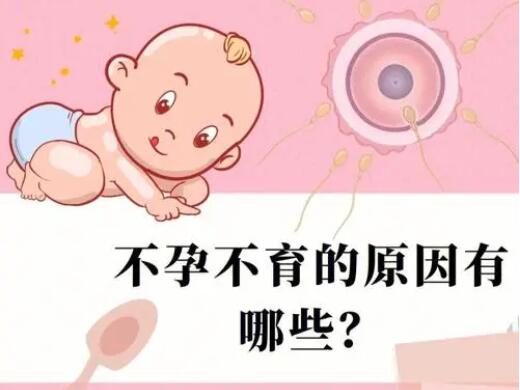 不孕不育的概率为什么越来越高?该如何避免?