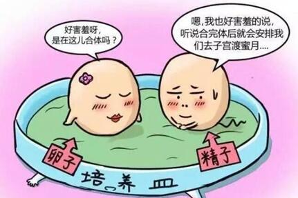 女性卵巢早衰可以做试管婴儿吗?卵巢早衰做试管一般几次成功?