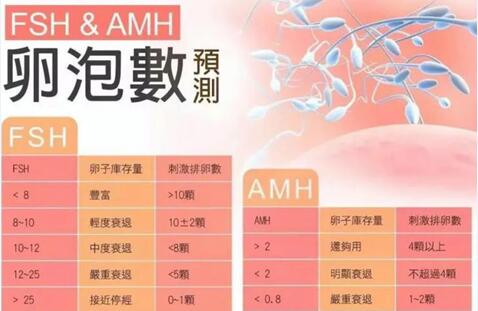 amh值低于0.06还可以排出优质卵子来做试管婴儿助孕吗?