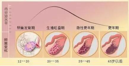 盘点女性卵巢早衰的症状,卵巢早衰6大变化女性着重留意自己的身体!