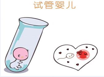 【试管婴儿】什么是试管婴儿_做试管婴儿的条件_试管婴儿费用_华泽优孕