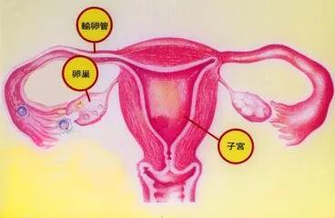 多囊卵巢综合症的早期症状?如果有要引起警惕!