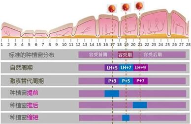 自然周期移植成功率高?一般患者并不建议使用!