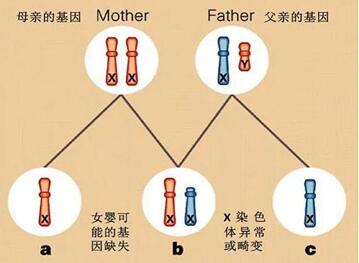 7号染色体缺失别再傻傻自怀,三代试管有效避免胎儿畸形是一个好选择!