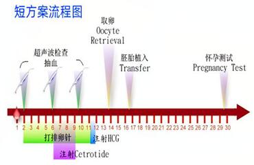 试管短方案流程一般促排卵几天要打多少针?