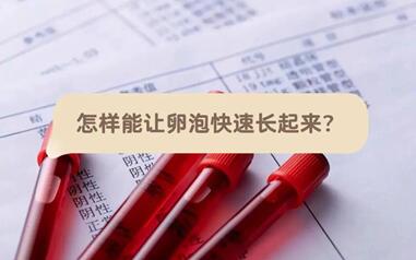 卵泡长不大没关系,怎样才能让卵泡长得更好?