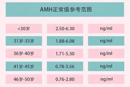 amh0.26是不是快绝经了?试管婴儿一定会成功吗?