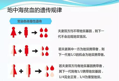 三代试管可以筛查掉地贫基因吗?