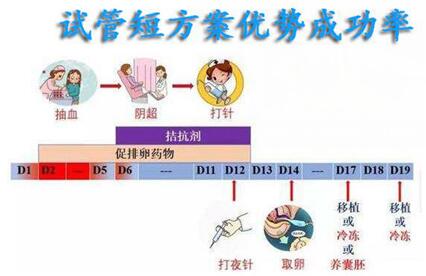 试管短方案成功秘诀揭秘,试管短方案需要注意的事项!