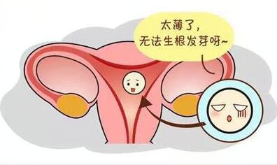 子宫内膜薄打生长激素效果怎么样?调理子宫内膜薄的方法!