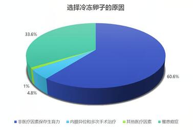 冷冻卵子的全流程整理,搞清楚心里有底!