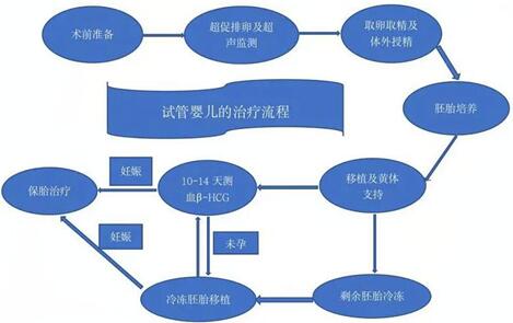 长沙中信湘雅生殖医院做三代试管流程分享,看完你就明白了!