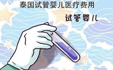 去泰国试管要多少钱?准备二十万绰绰有余