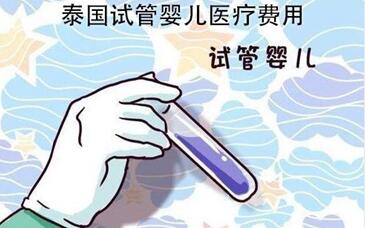 泰国试管婴儿费用大约多少钱?泰国试管婴儿价目表