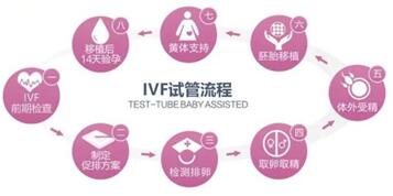 2024国内试管婴儿全部流程有哪几个阶段?分四个部分一文说清