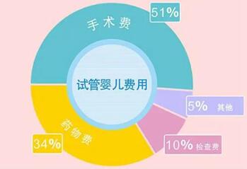 2024试管婴儿费用价目表公开,总费用大概在20-60万