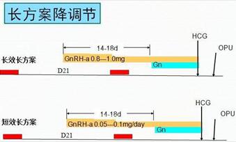 长方案和超长方案哪个效果好?长方案和超长方案有什么区别