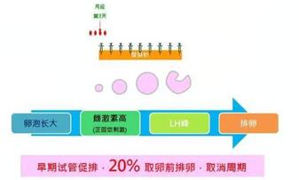 试管长方案是在排卵后第几天开始降调?满足这三点才能降调