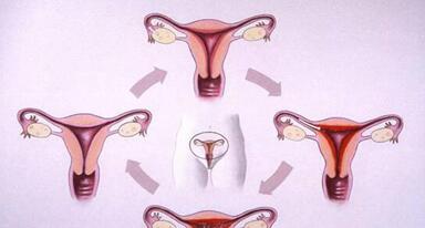 生化妊娠后子宫内膜多厚算正常?生化后子宫内膜厚怎么回事