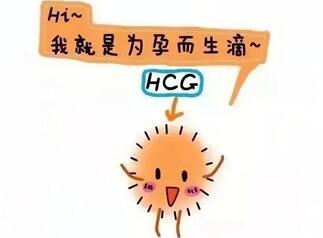 血hcg的正常值是多少?hcg是什么意思