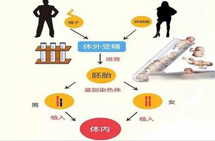 三代试管流程详细指南,一文说清预实验抽血的重要性