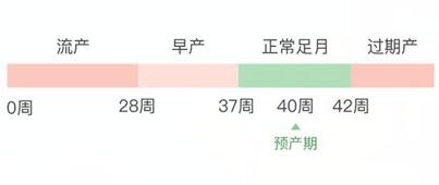 怀孕多少周出生率高?孩子出生率最高的是几月