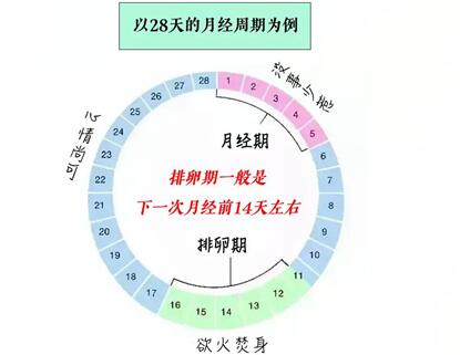 排卵期怎么安排同房容易受孕?排卵日同房怀孕的技巧