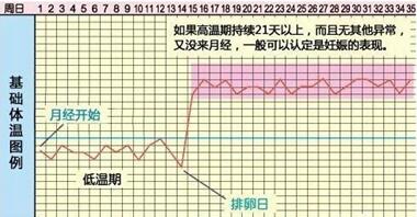 试管婴儿怀孕天数怎么算?试管婴儿多久出生