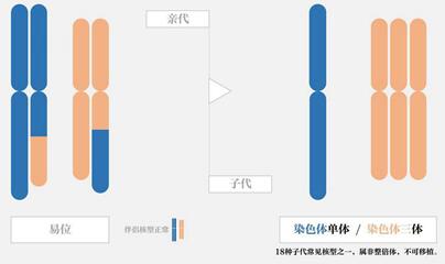 染色体平衡易位是否会隔代遗传?如何避免染色体出现问题