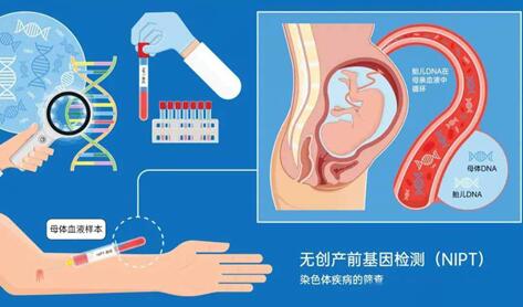 三代试管能确保孩子健康吗?PGS筛查并非无所不能